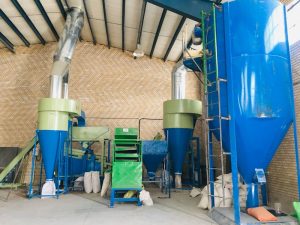 بوجاری و دستچین