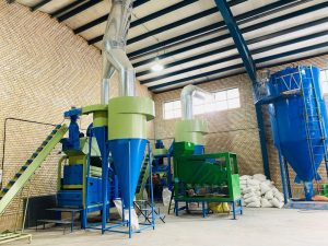 بوجاری و دستچین