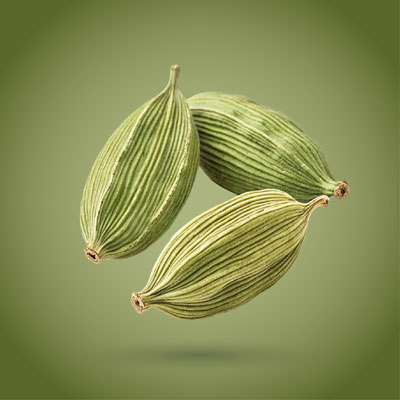 بنر صفحه اصلی